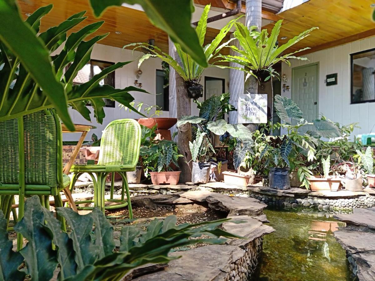 Infinite Green Pension Puerto Princesa Exteriör bild